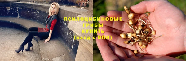 прущая мука Корсаков