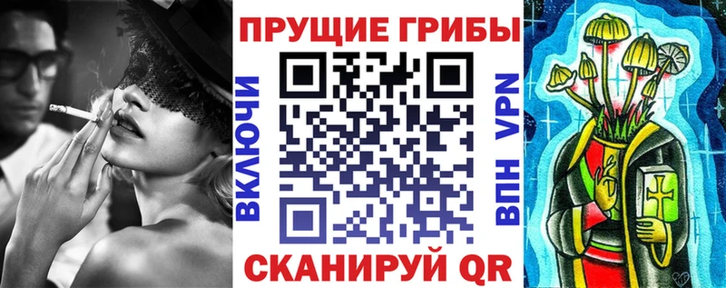 Псилоцибиновые грибы Psilocybine cubensis  Купить закладки  Усть-Кут 
